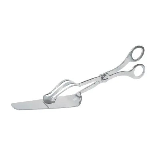 [CST0260] CAKE SERVING TONG (STAINLESS STEEL) - 260MM