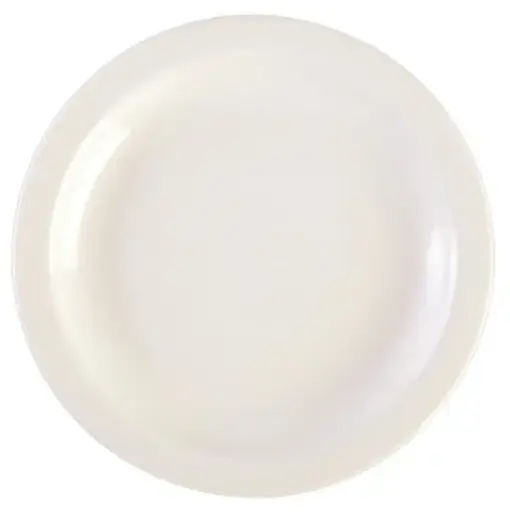 Dinner Plate Essential 27cm